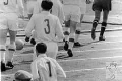 dinamo-12