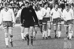 dinamo